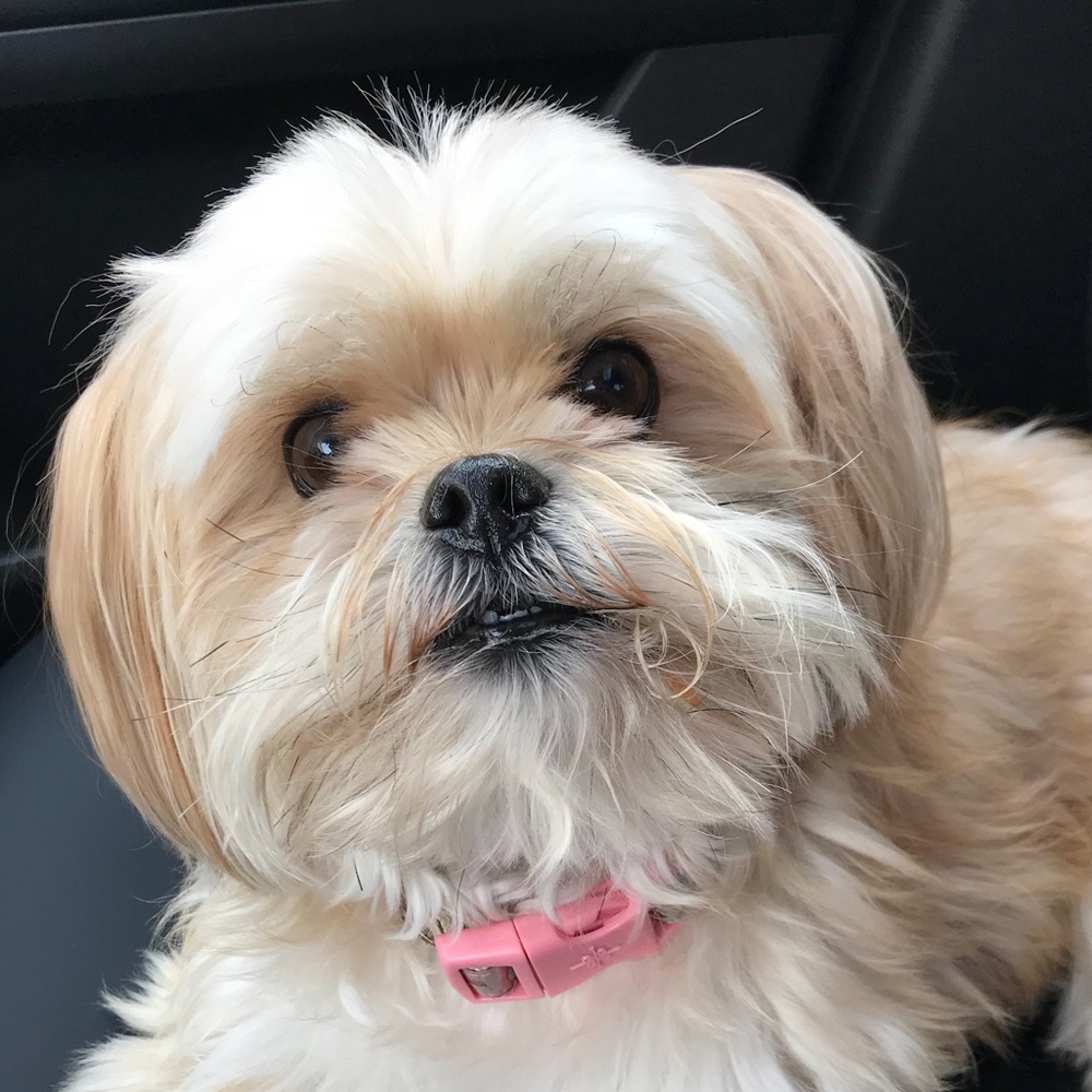 Meet your Posher, Leslie